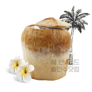 코코넛 아이스 170ml